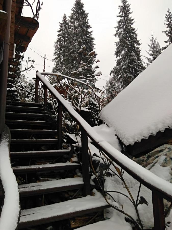 Hotel Любе Yablunytsya Exterior foto